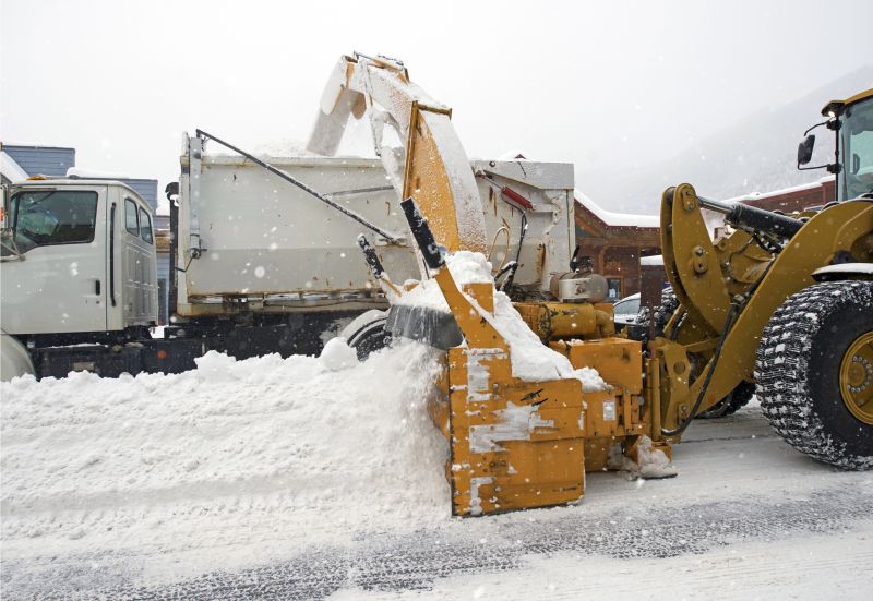 Snow Disposal